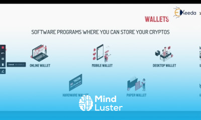 The Ultimate Guide To Crypto Wallets Everything You Need To Know