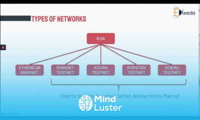 Learn Types of Networks - Mind Luster