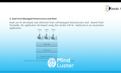 Unlocking The Power Of Saas Development Diverse Perspectives