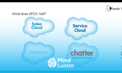 The Ultimate Guide To Mastering The Salesforce Cloud Platform