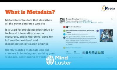 Metadata