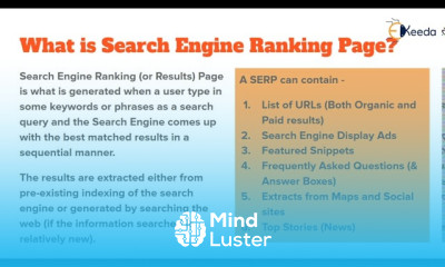 Search Engine Ranking Page