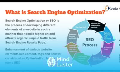 Learn Search Engine Optimization - Mind Luster