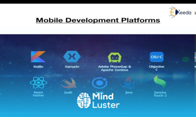 Unleashing The Power The Ultimate Developer Technology Guide