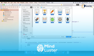 Collectionview Application