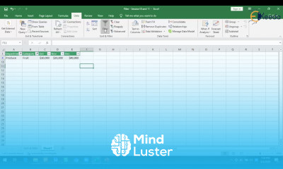 The Ultimate Customized Filter Experience