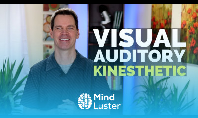 Learning Styles Auditory Visual Kinesthetic