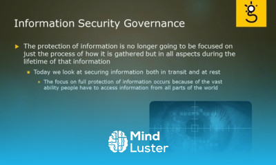 7 Information Security Governance