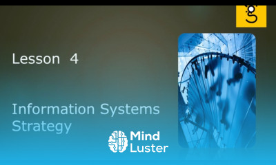 9 Information System Strategy