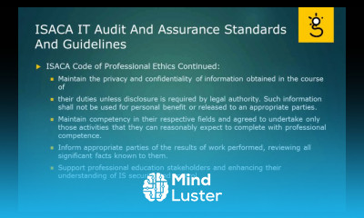 4 ISACA IT Audit and Assurance Standards Guidelines