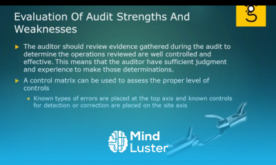 24 Using Services of other Auditors and Experts