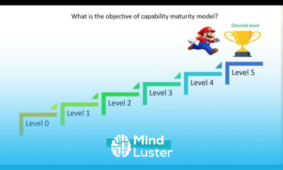 CRISC Lecture Video 2 3A Capability Maturity Model