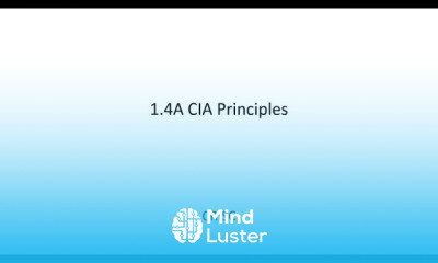 CRISC Lecture Video 1 4B CIA Principle