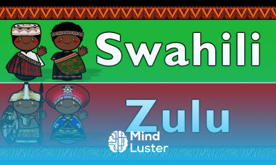 NIGER CONGO SWAHILI ZULU