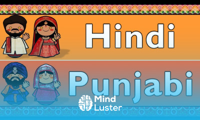 HINDI PUNJABI