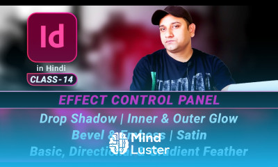 CLASS 14 InDesign Effects Control Panel detailed tutorial in Hindi