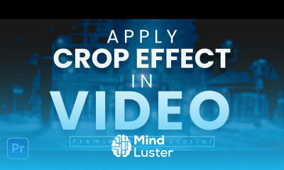 Premiere Pro Course How to Cut Video Clip in Top Bottom Side Adjustment Layer Concept