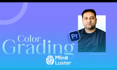 Color Grading Premiere Pro Tips Tutorial in Hindi