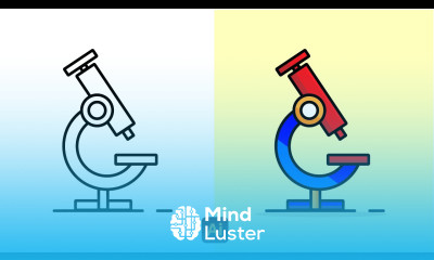 shorts illustrator designtrend illustration iconsdesign