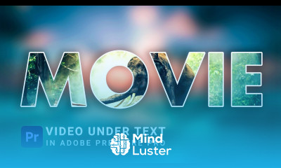 Text Style Alpha Adjustment Effects Adobe Premiere Pro Tutorial Hindi Effects of Premiere pro