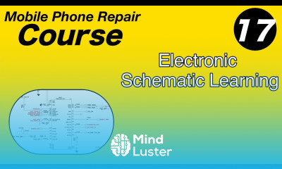 From Novice to Expert Boost Your Productivity with Efficient Electronic Schematic Learning