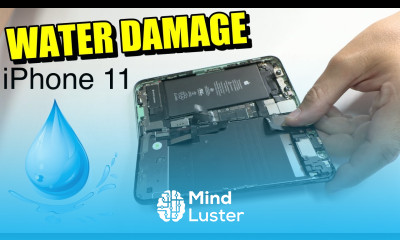 iPhone 11 Water Damage