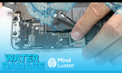 iPhone 12 Pro Max Water Damage