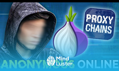 How to be Invisible Online and the hard truth about it