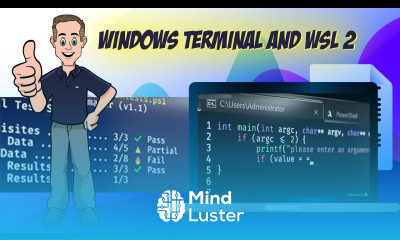 Windows Terminal and WSL 2 tips