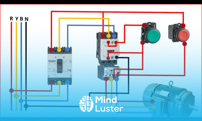 DOL Starter connection in 3 Phase Induction Motor Direct online starter