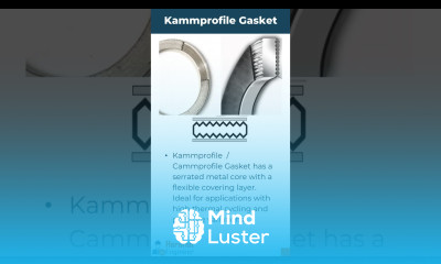 How Many Types of Gasket in Piping Lean about 6 Main Types