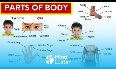 Parts of Body Names in English Hindi शरीर के सभी अंगों के नाम Spoken English Guru