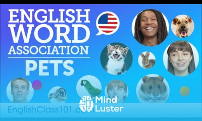 Pets Word Association with English speakers