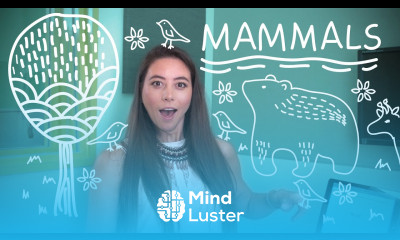 Weekly German Words with Alisa – Mammals