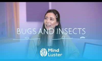 Weekly German Words with Alisa Bugs and Insects