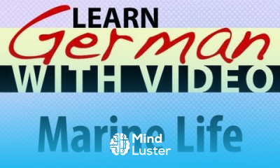 Learn German with Video Marine Life