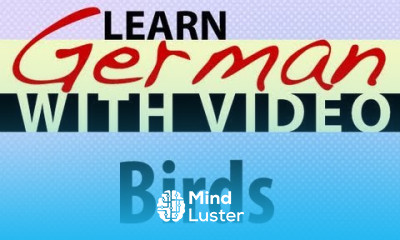 Learn German with Video Birds