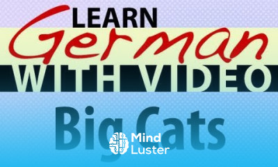 Learn German with Video Big Cats