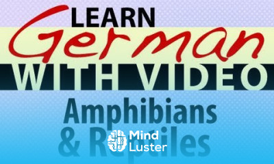 Learn German with Video Amphibians and Reptiles