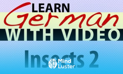 Learn German with Video Insects 2