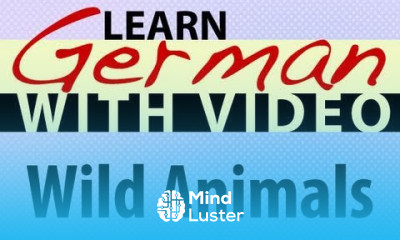 Learn German with Video Wild Animals