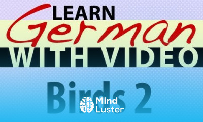 Learn German with Video Birds 2