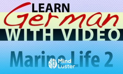 Learn German with Video Marine Life 2