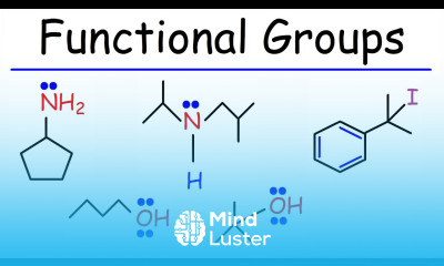 Functional Groups Primary Secondary Tertiary Alcohols Amines Alkyl Halides