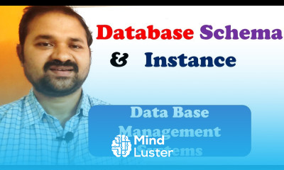 Schema and Instance in DBMS Database Management Systems