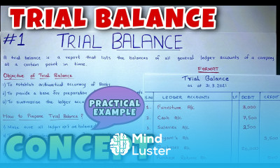 Trial Balance Concept Problem Class 11 B COM CA Foundation
