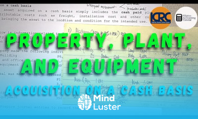 Property Plant and Equipment Acquisition on a Cash Basis Basket Purchase of PPE