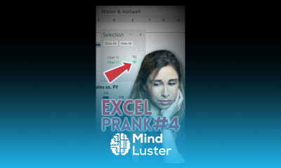 WHERE Did MY CHARTS GO Excel Prank Part 4 shorts