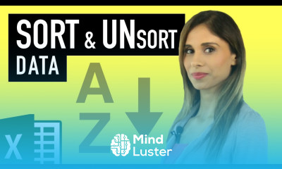 Excel Sort Data by Value Color Icon Own List How to Unsort