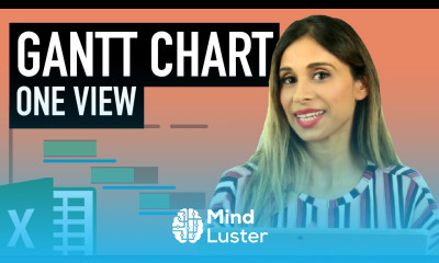 Project Plan in Excel with Gantt Chart Plan Actual Progress in ONE VIEW